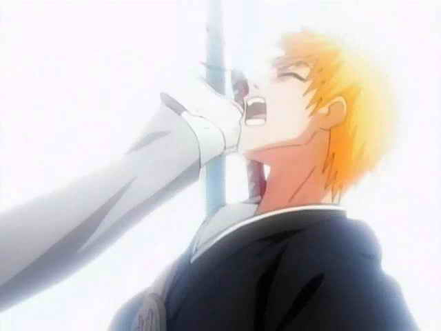 Otaku Gallery  / Anime e Manga / Bleach / Screen Shots / Episodi / 006 - Scontro mortale Ichigo vs Ichigo / 127.jpg